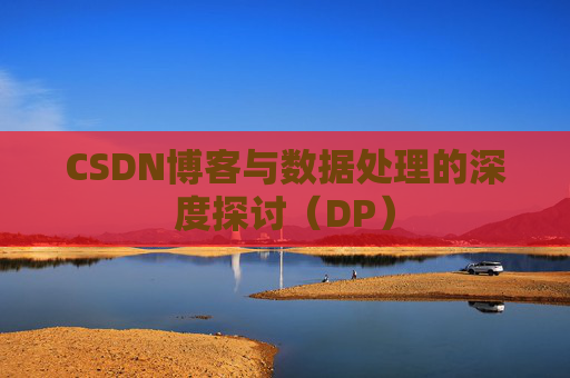 CSDN博客与数据处理的深度探讨（DP）
